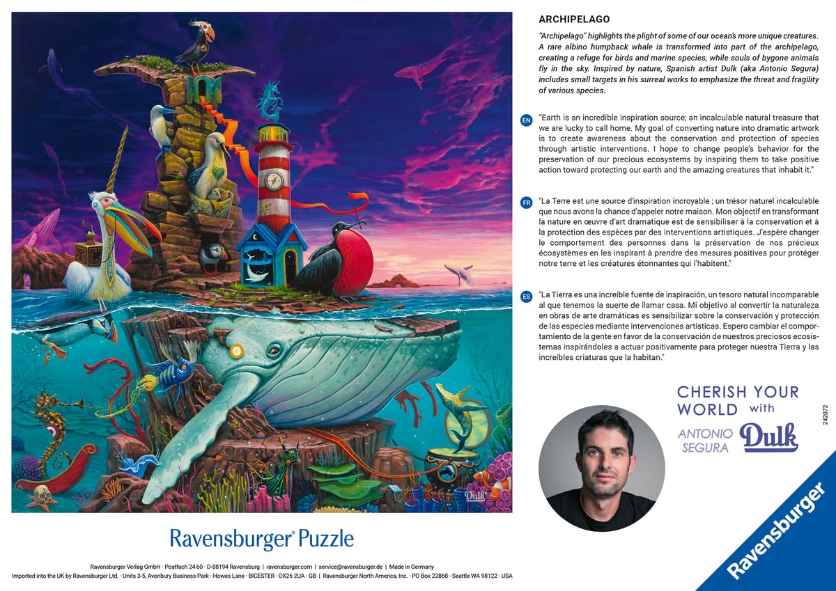 Amazon.com: Ravensburger Archipelago 500 Piece Jigsaw Puzzle
